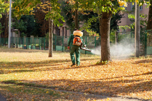 Best Emergency Pest Control  in Millers Falls, MA