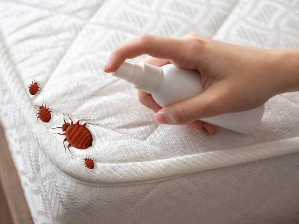 Best Pest Prevention Services  in Millers Falls, MA